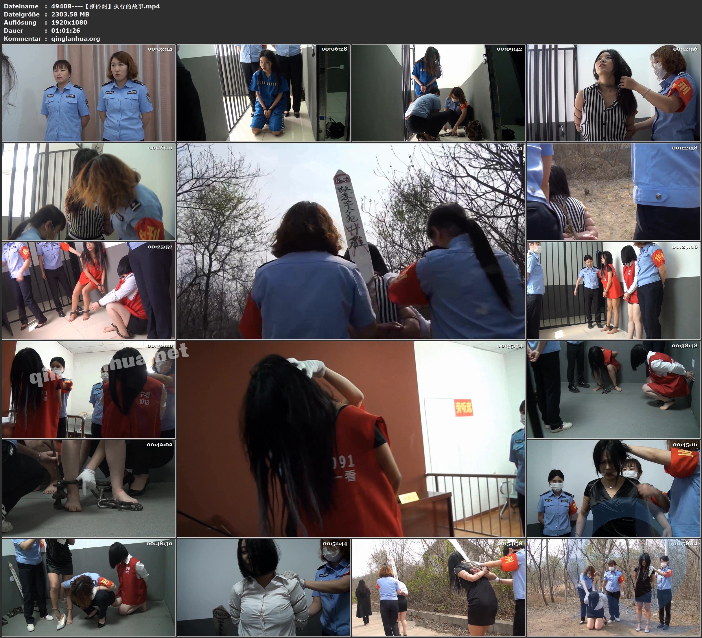 49408----【雅俗阁】执行的故事.jpg